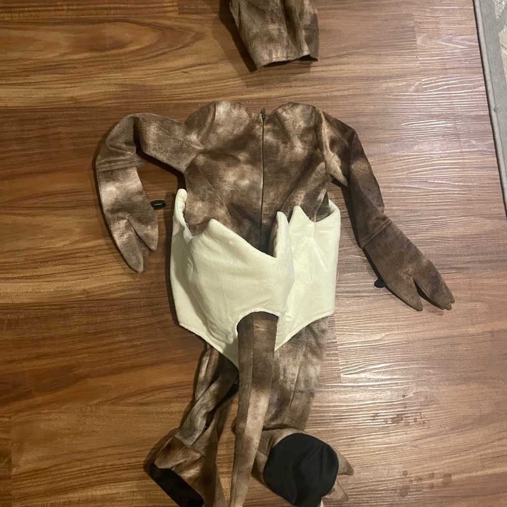 Toddler Tiny Triceratops 2T Halloween Costume - Picture 2 of 7